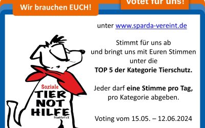 👋Wir brauchen EURE STIMME! 👇
