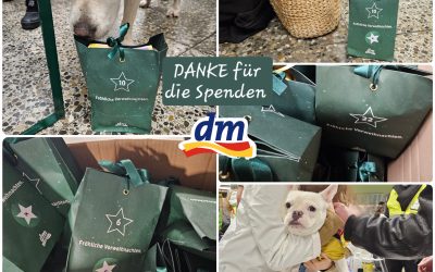 🌟DANKE für die Spende🌟